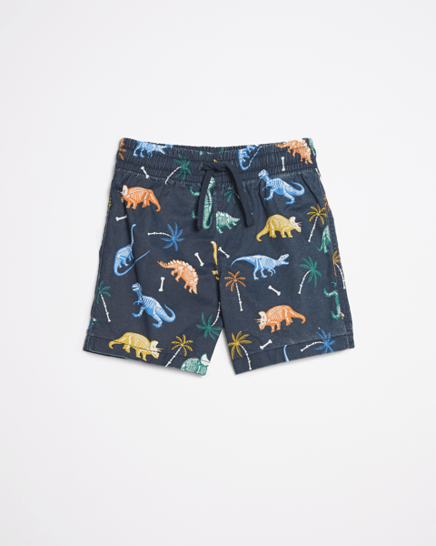 Dinosaur Volley Shorts Target Australia