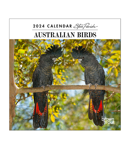 Australian Birds Steve Parish 2024 Mini Calendar Target Australia