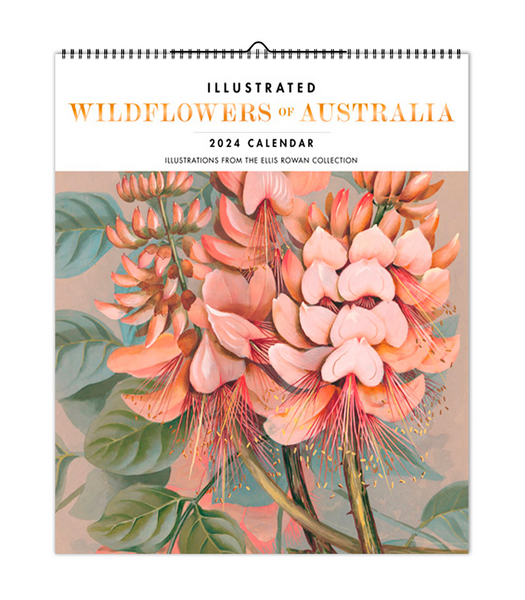 Illustrated Wildflowers of Australia 2024 Deluxe Calendar Target