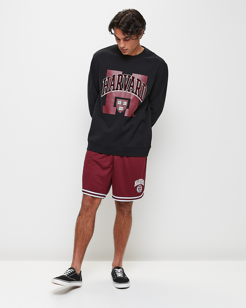 Licensed Harvard University Basketball Shorts