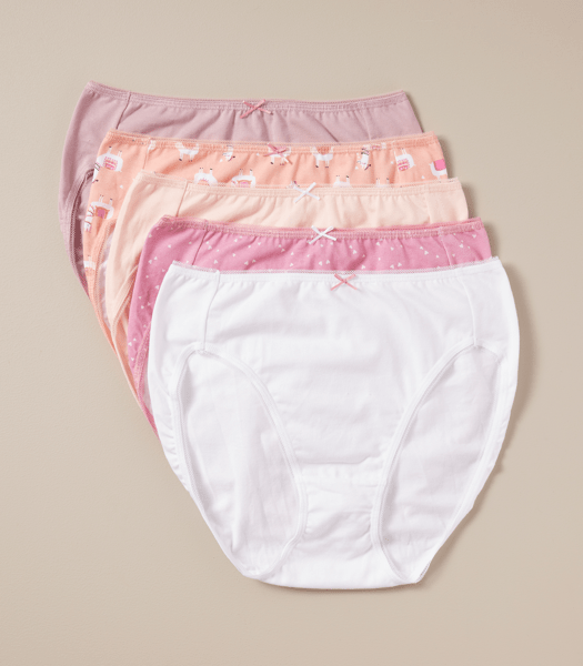 Assorted High Leg Briefs For Women (Pack of 5)