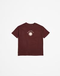 Brown Sun