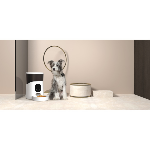 Automatic pet discount feeder target australia