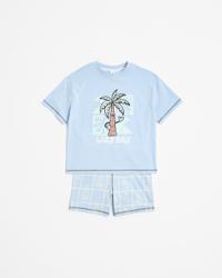 Palm