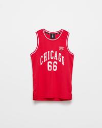 Chicago Bulls