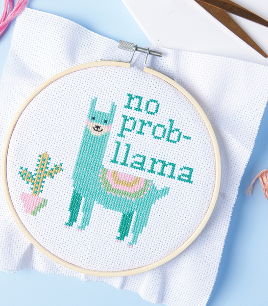 Oh My Craft! Stitch This Cross Stitch Kit