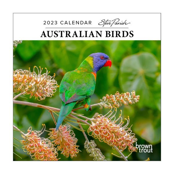 Australian Birds - Steve Parish 2023 Mini Calendar | Target Australia