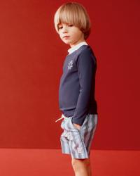 Blue / Stripe
