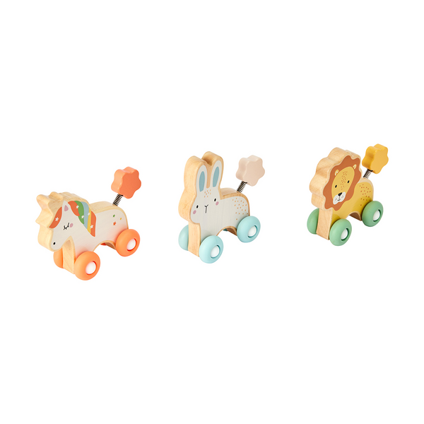 Wooden Silicone Animal Car, Assorted - Anko | Target Australia