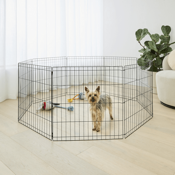 Pet Cage Dog Kennels For Sale Bunnings Pet Enclosure Bunnings
