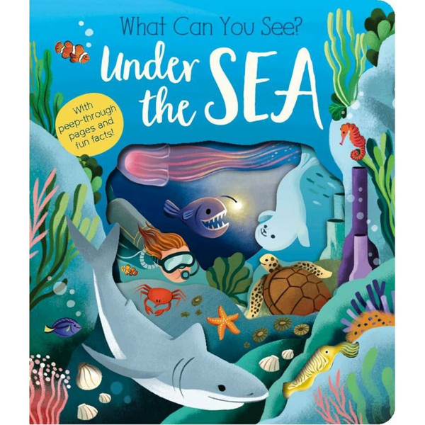 What Can You See Under the Sea? | Target Australia