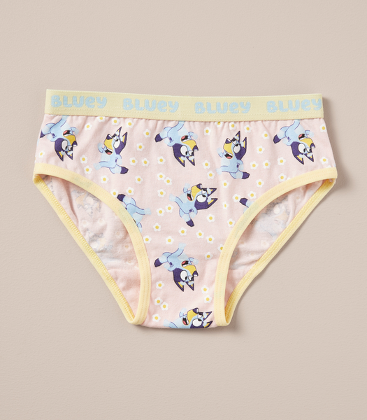 Bluey. Underwear & Panties - CafePress