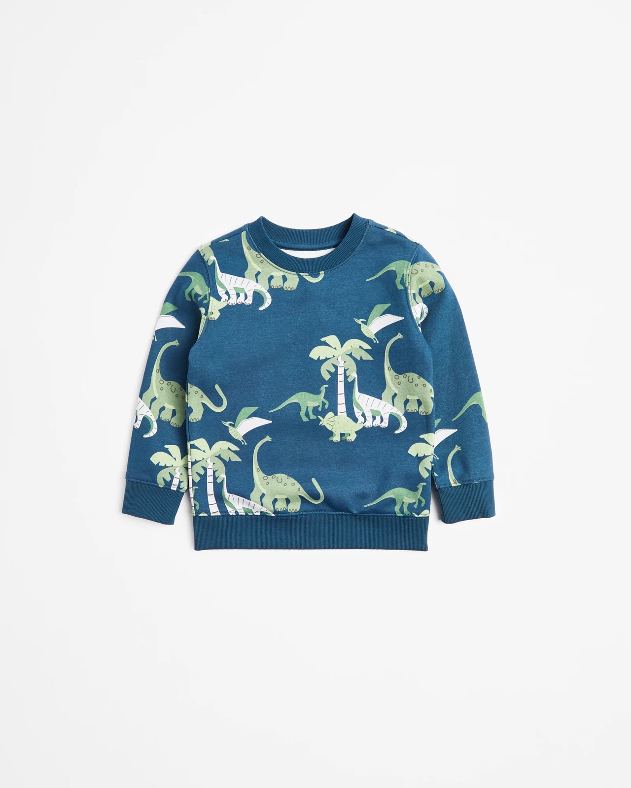 Dinosaur Jumper 4 of 5