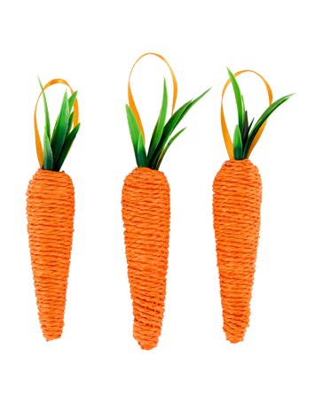 Anko 3 Pack Easter Craft Carrot Embellishment