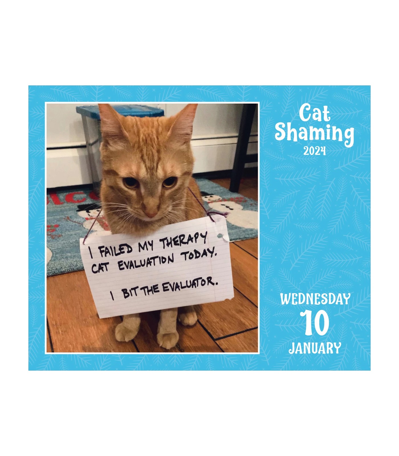 Cat Shaming 2024 Boxed Calendar Target Australia