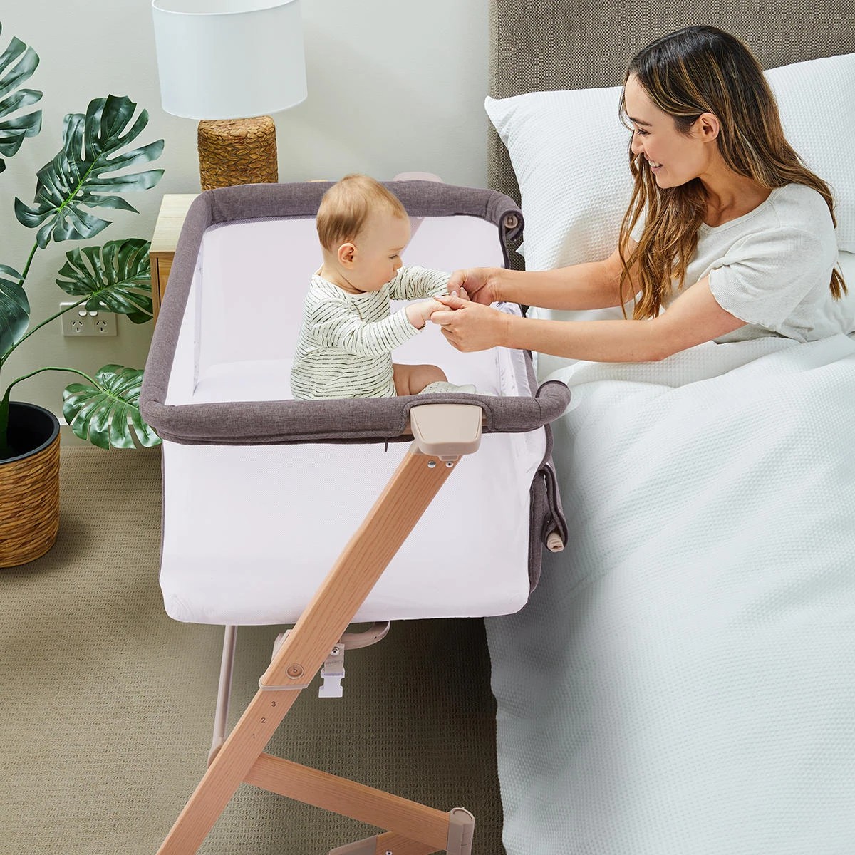 Baby co sleeper store australia