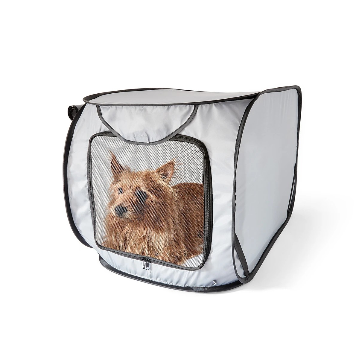 Pop open hotsell dog kennel small