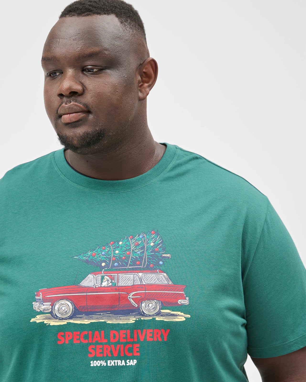 Plus Size Australian Cotton Christmas Special Delivery T-Shirt 4 of 6