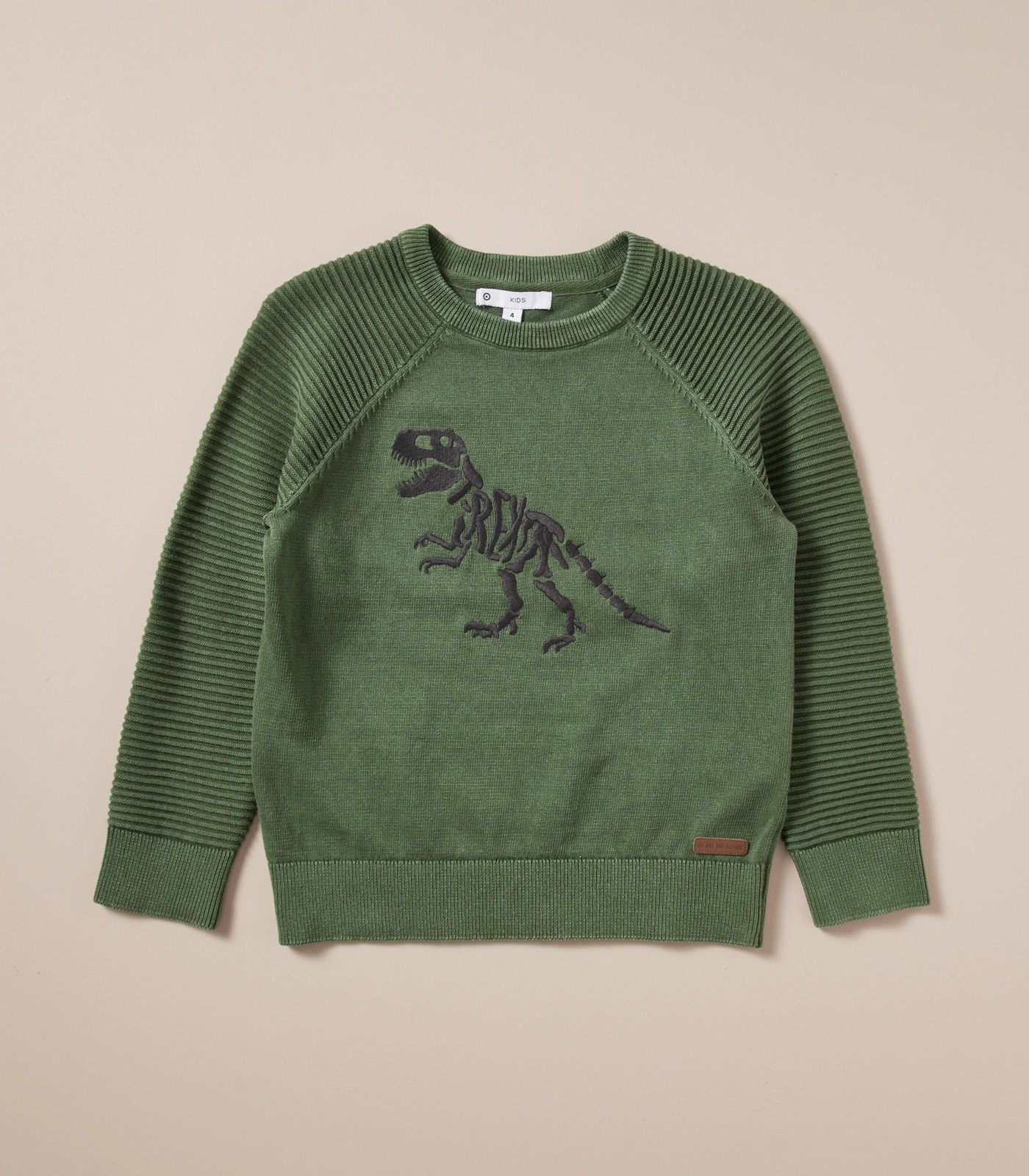 Target 2025 dinosaur sweater