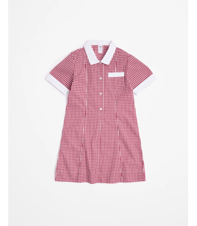 School Gingham Dress