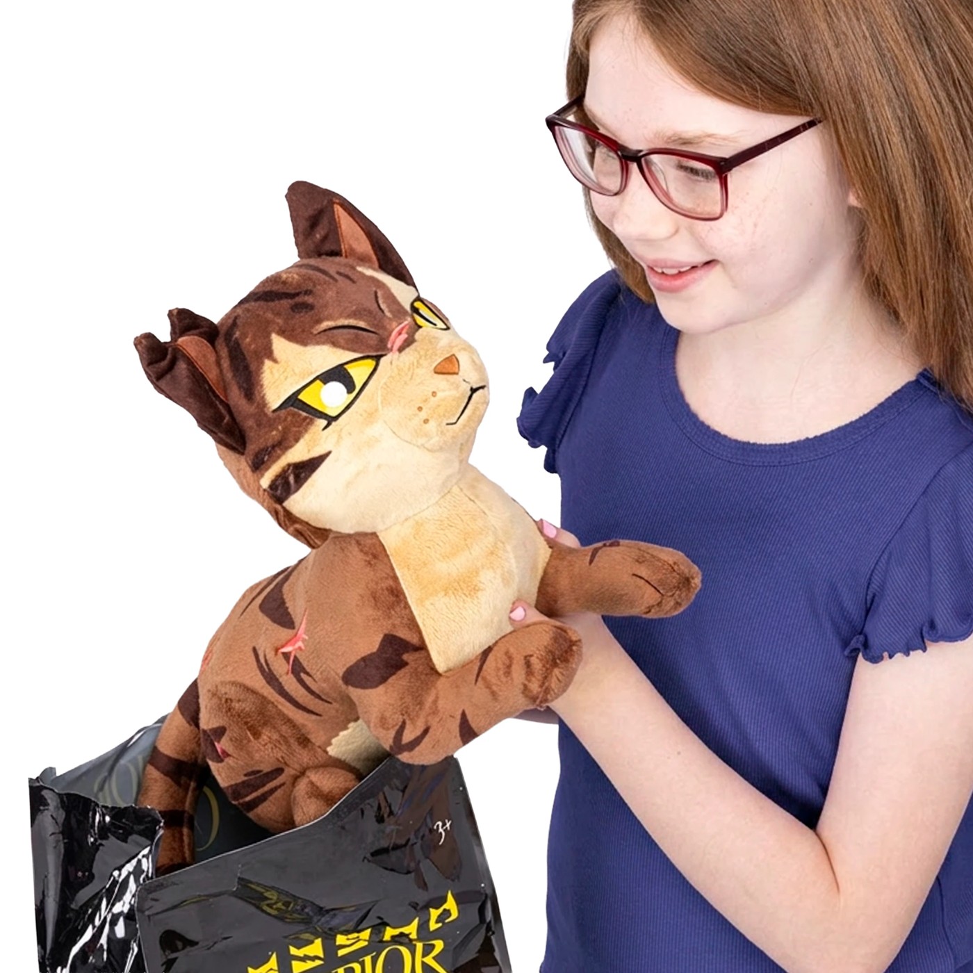 Warrior Cats 11 Inch Large Mystery Plush Series 1 - Assorted 3 of 5