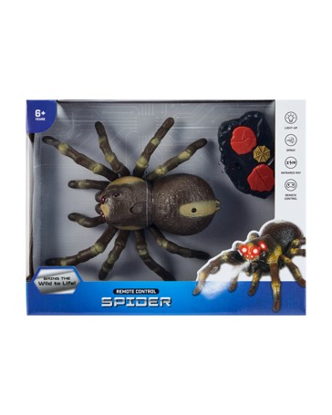 Remote Control Spider