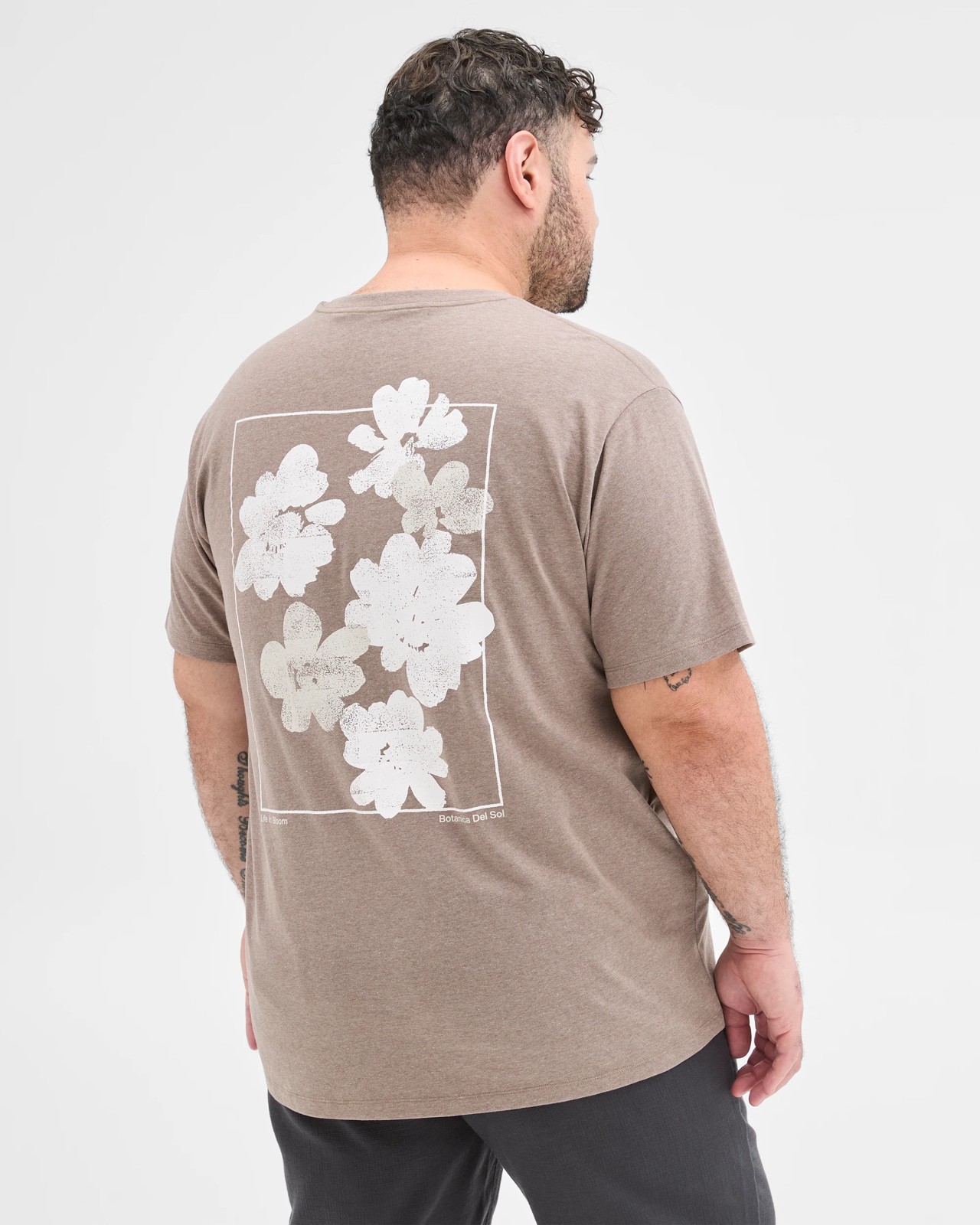 415_71972275_5+415T7197