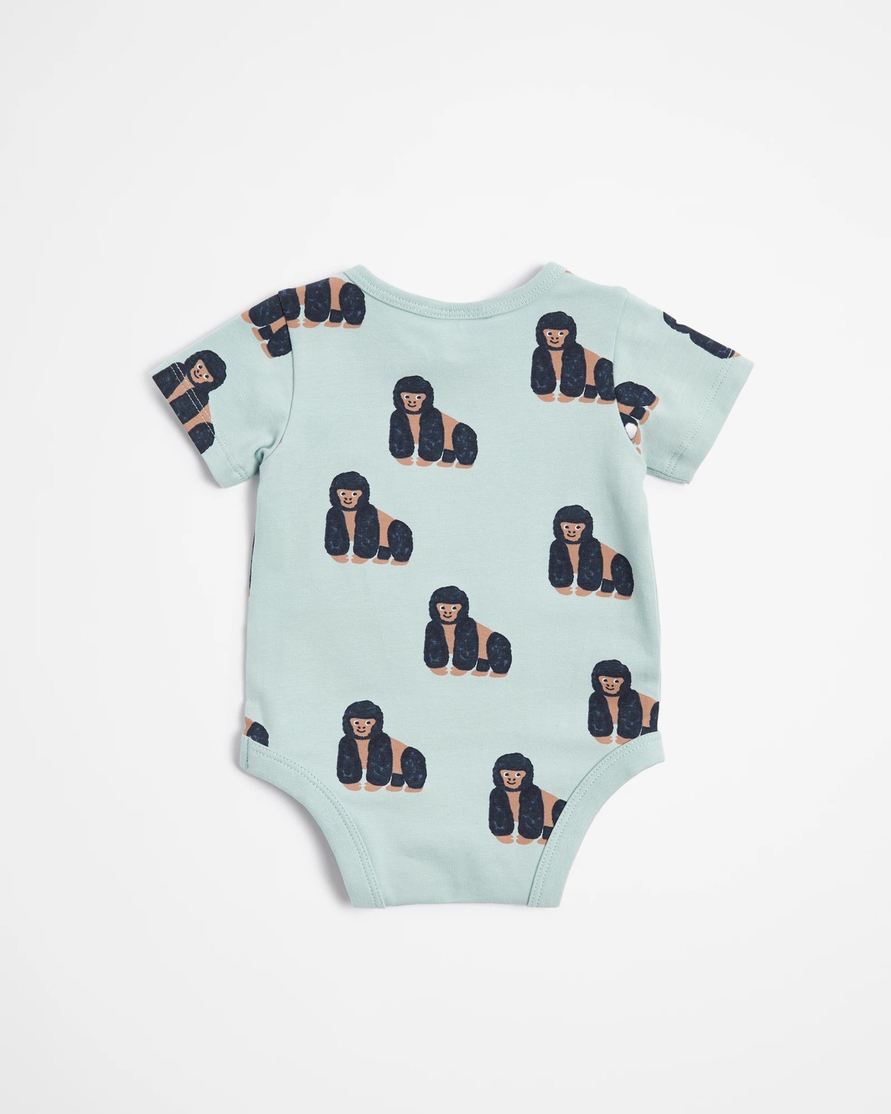 355_68331146_3+26C5CF