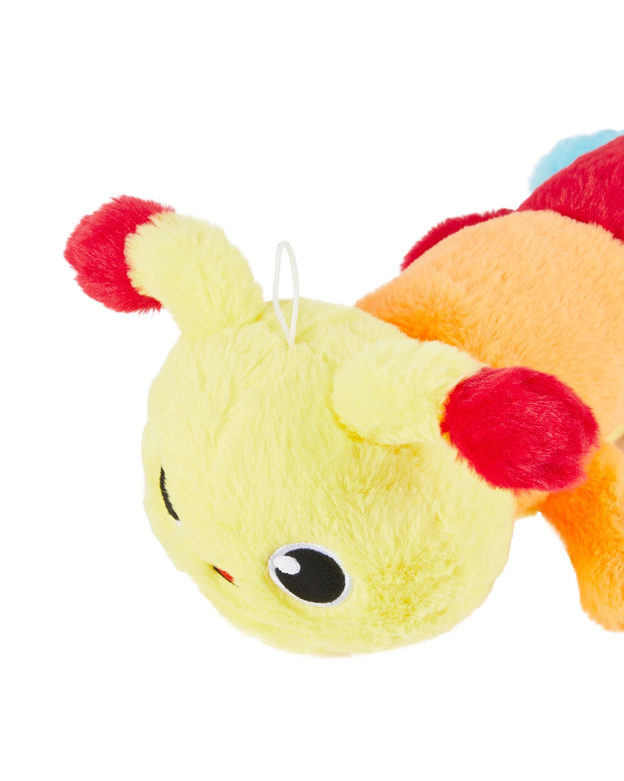 Pet Toy Plush Multi Squeaker Caterpillar - Anko 3 of 4
