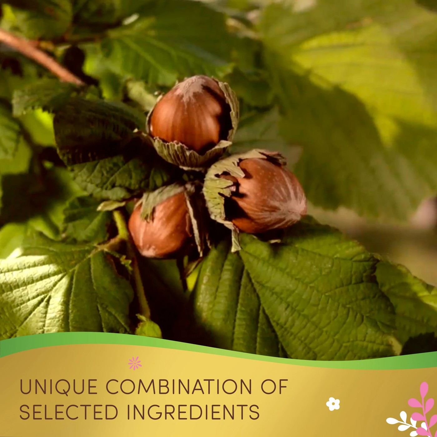 Ferrero Collection Milk Chocolate & Hazelnut Eggs 100g 6 of 6