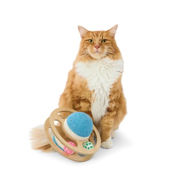 Anko Rolling Cat Scratcher Ball - Small