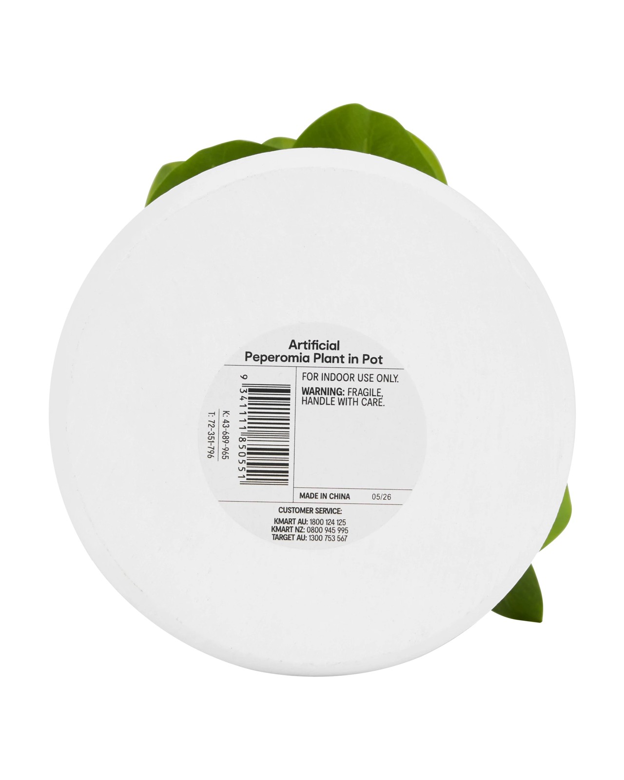 Anko Artificial Peperomia Plant in Pot 3 of 3