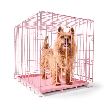 Anko Small Pink Crate