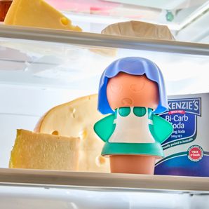 Fridge Deodoriser - Anko product image