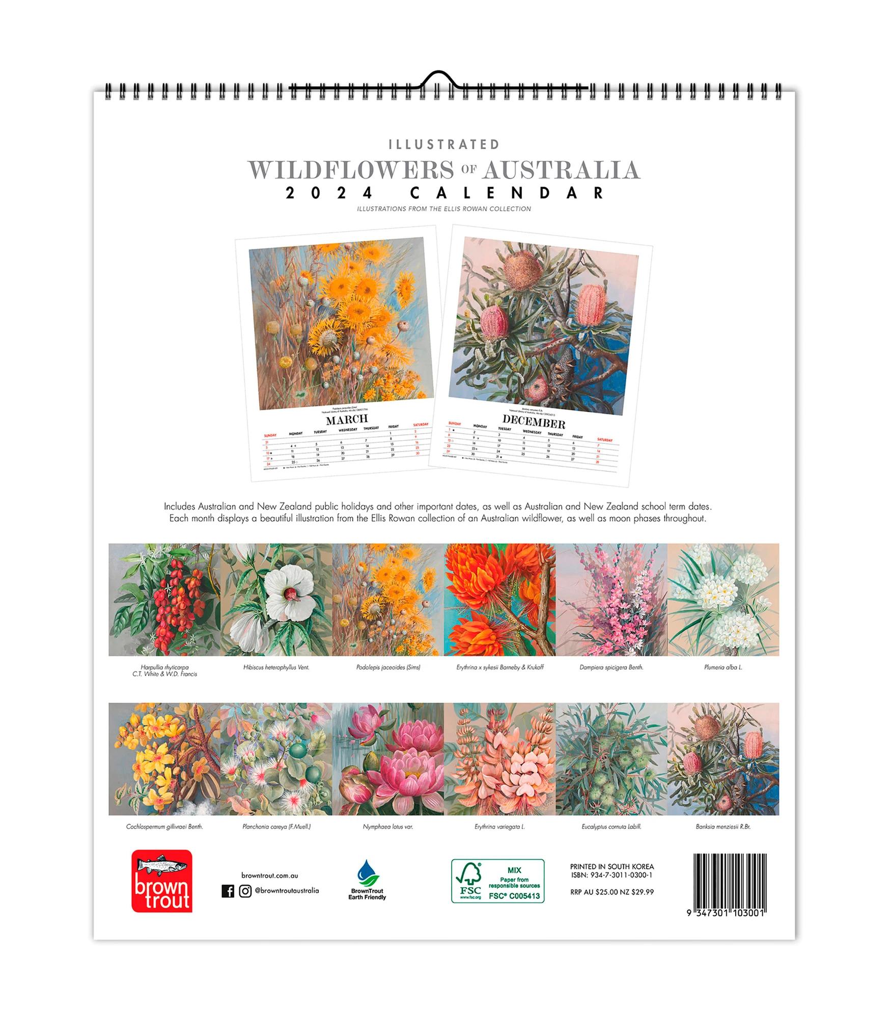 Illustrated Wildflowers Of Australia 2024 Deluxe Calendar Target   68484552 IMG 002