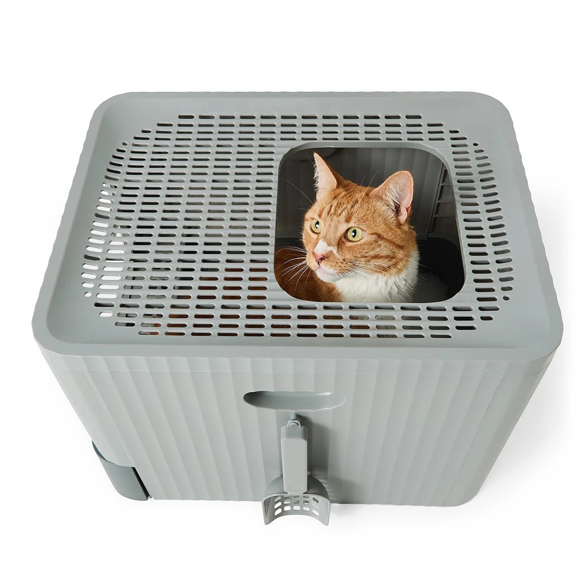 Target clearance litter box