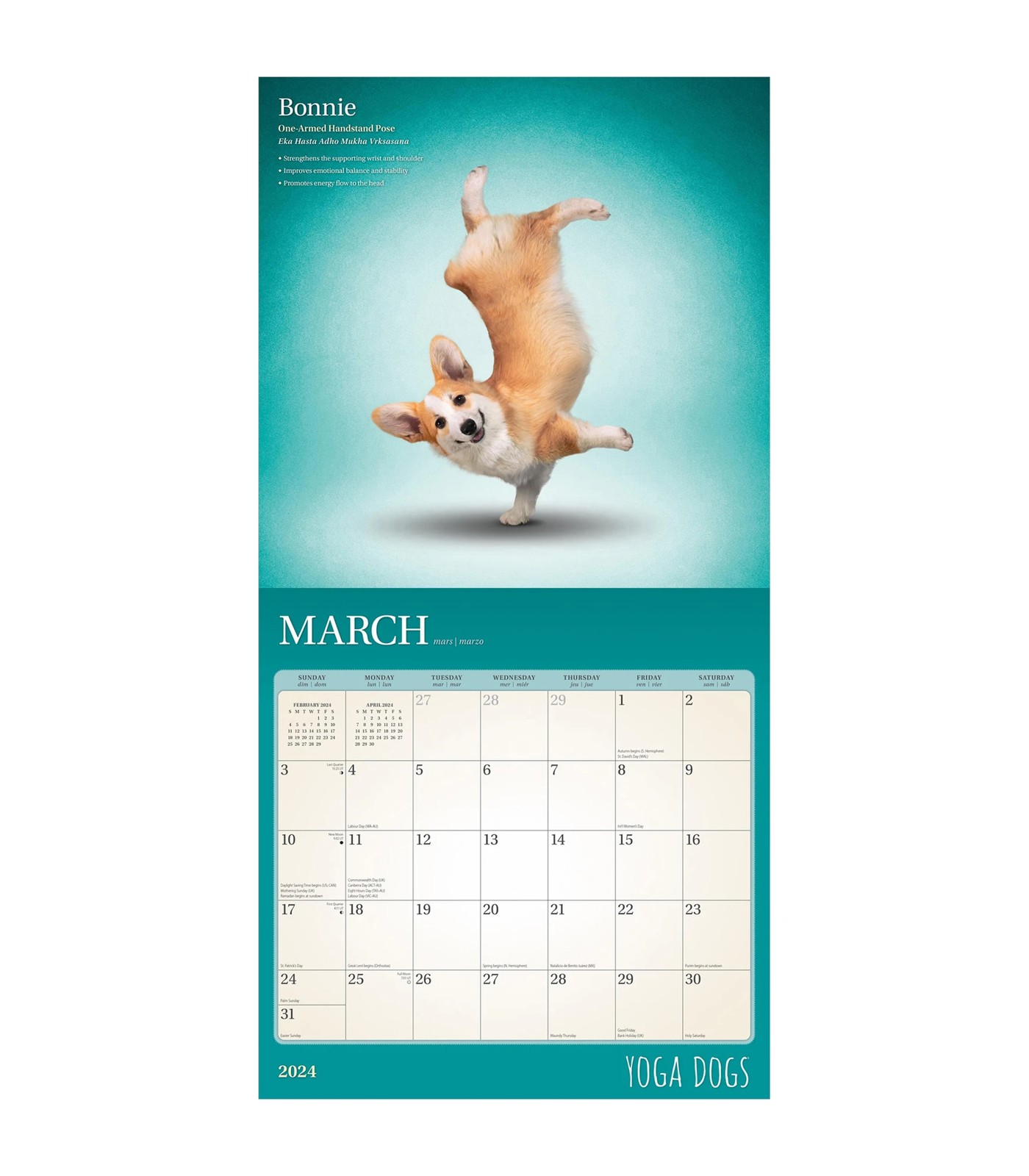 Yoga Dogs 2024 Square Calendar Target Australia