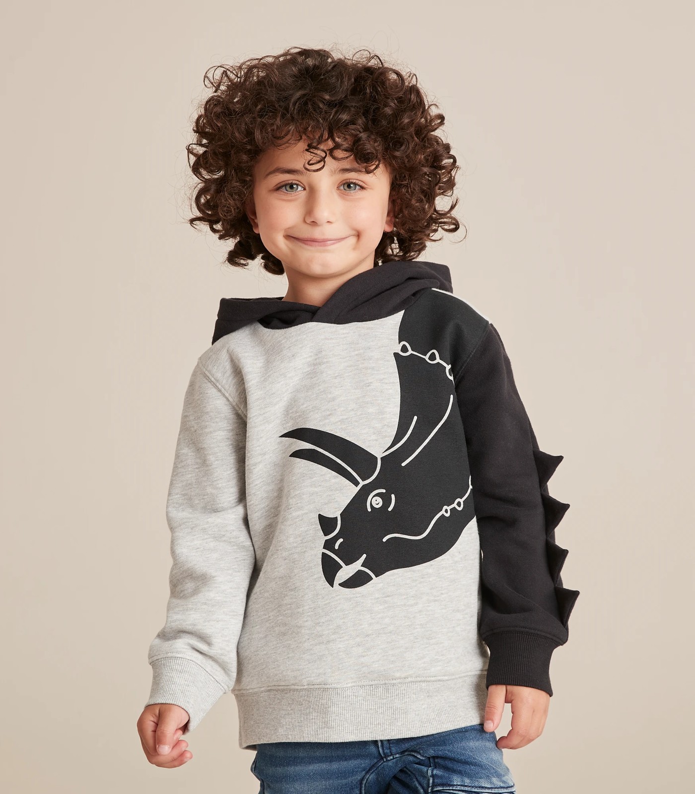 Boys Long Sleeve Embroidered Dino Fleece Knit Hoodie - Dino