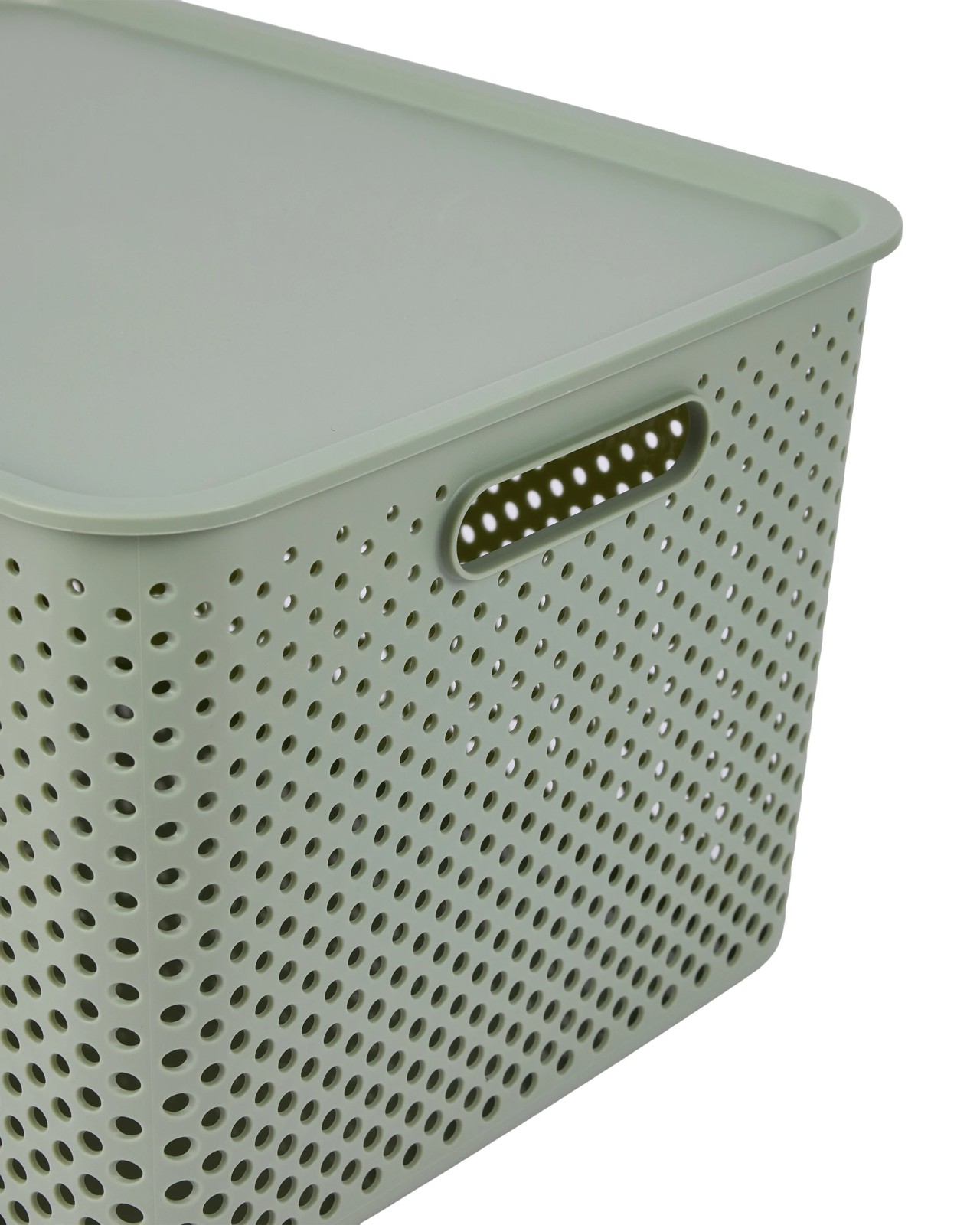Anko 18L Dot Container - Green 4 of 6