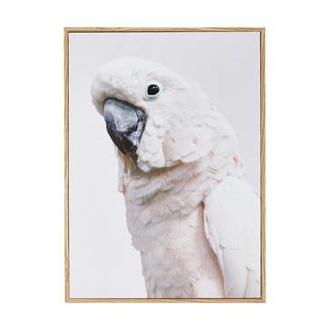 Framed Print - Anko