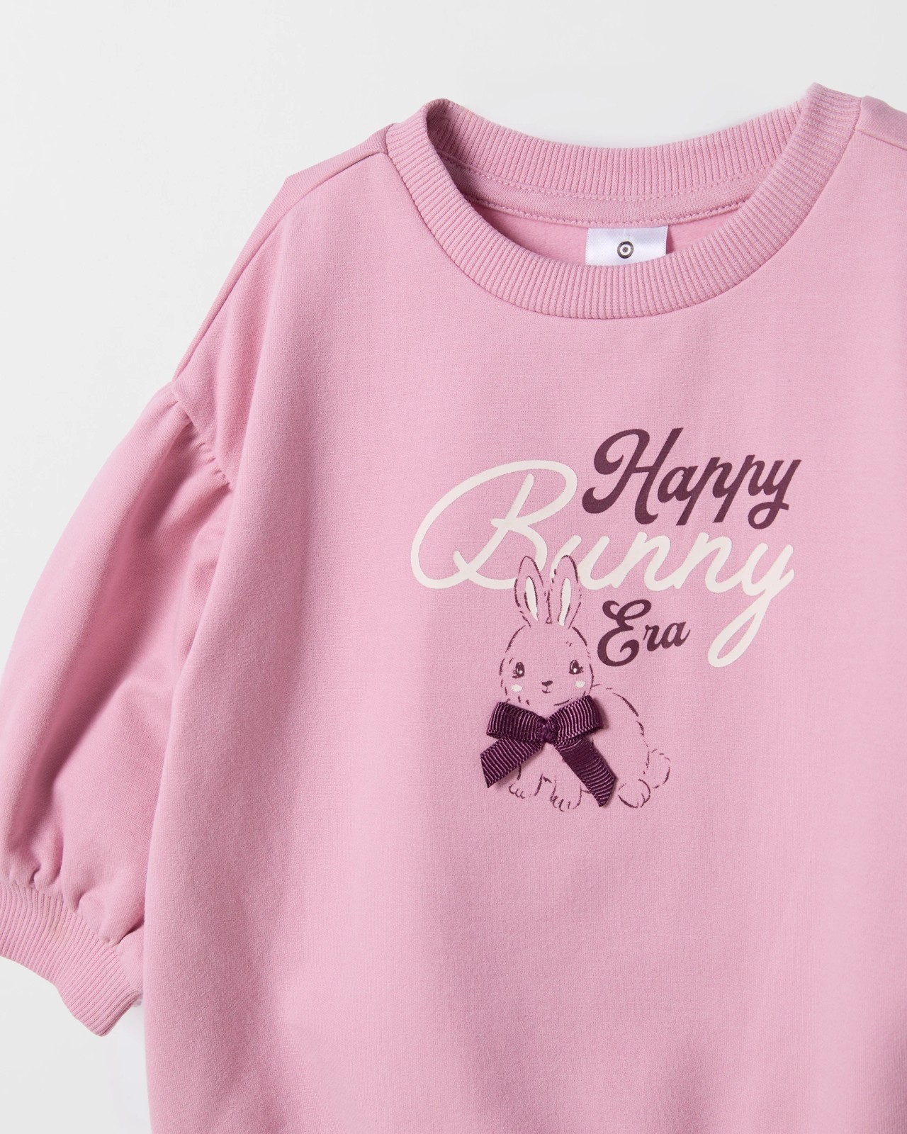 355_72194966_2+355T7219