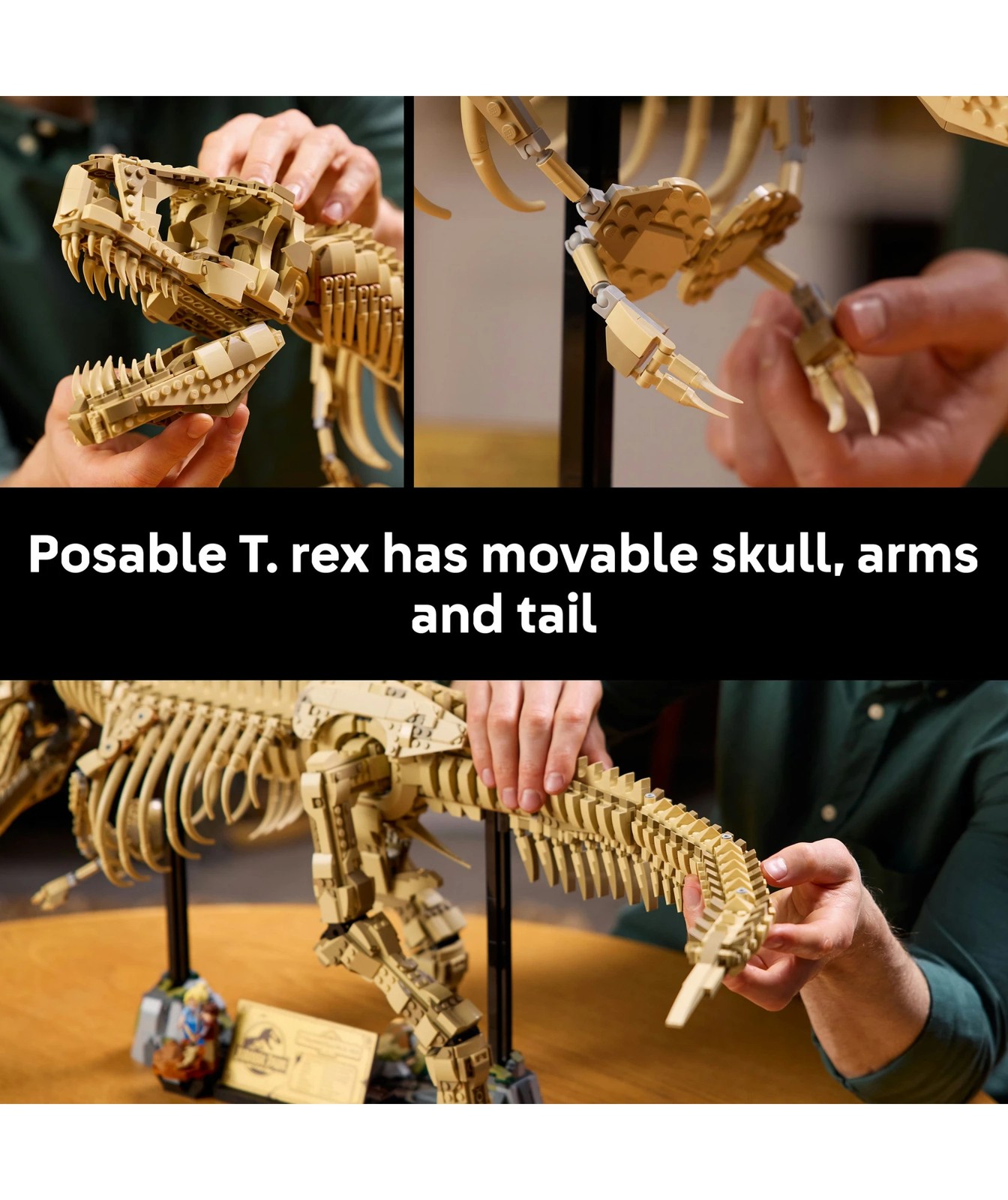 71498935-IMG-004