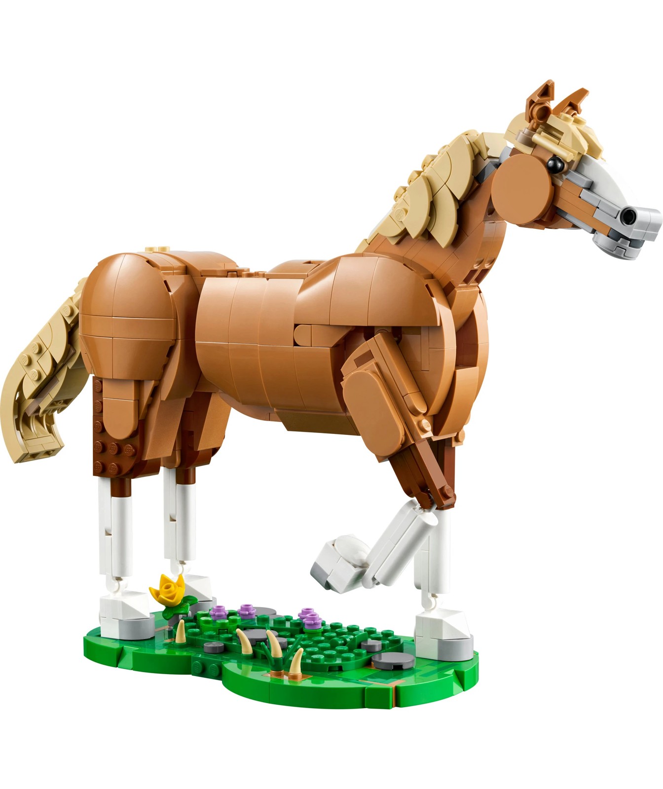 71638270-IMG-007