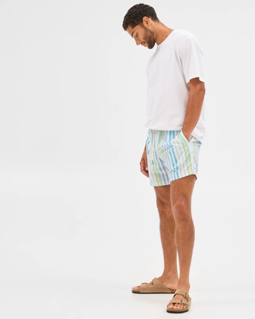 Stripe Volley Shorts