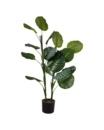 Anko Artificial Calathea Plant in Pot