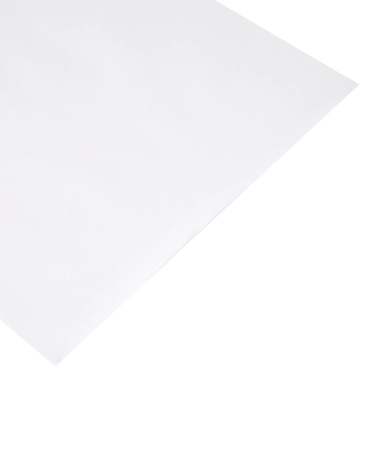 Anko 2 Pack Paper Roll 4 of 5
