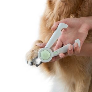 Nail Clippers with Light - Anko