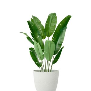 Anko 49cm Textured Plastic Pot product image