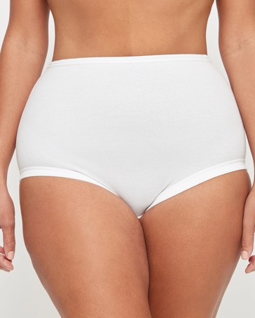 Plus Size 2 Pack Matte and Shine Full Briefs