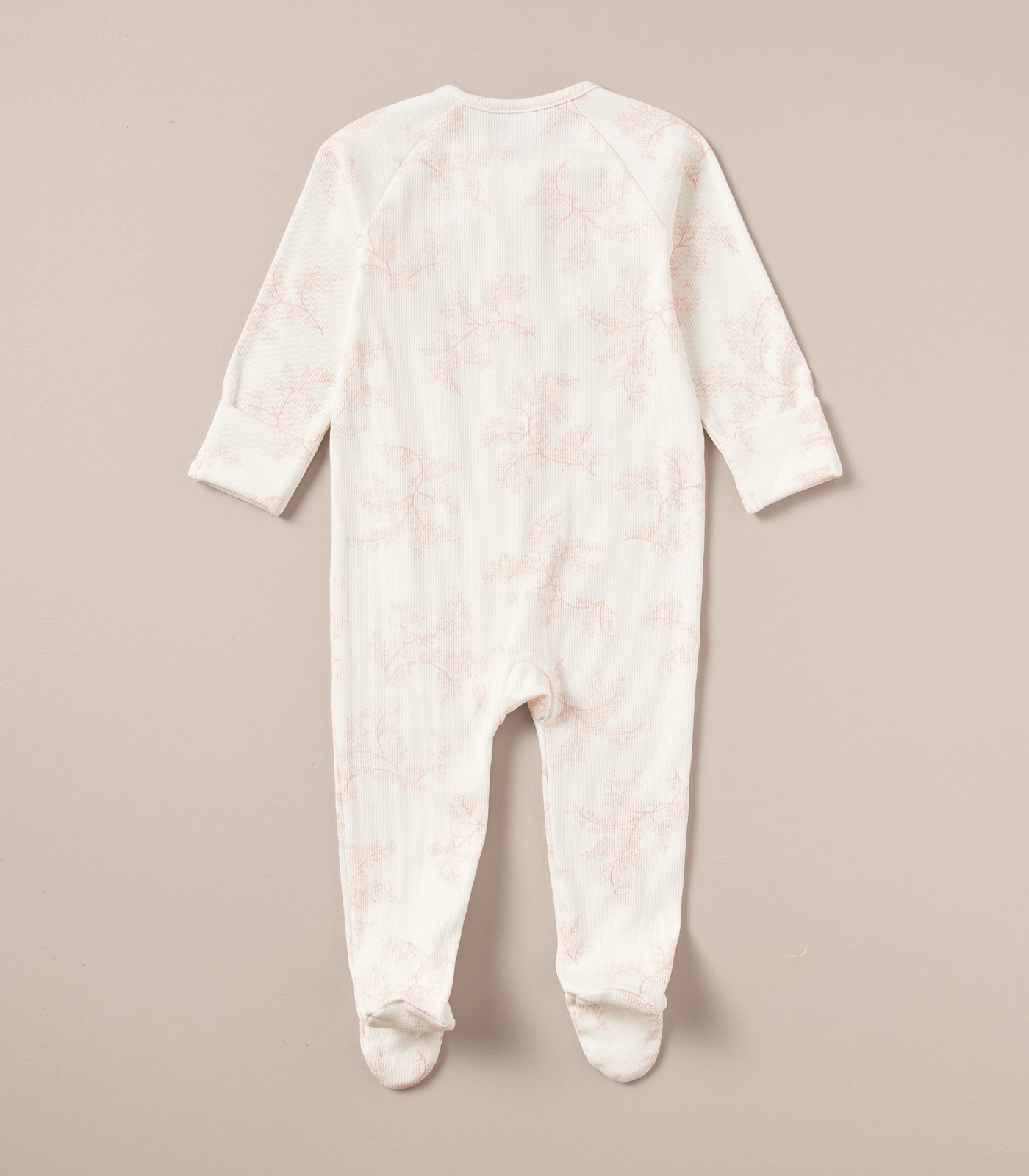 355_67243648_3+21FAC0